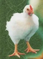 Комбикорм Рост НА 178