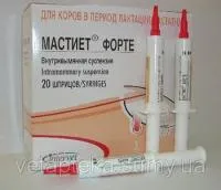 Мастиет форте, Intervet